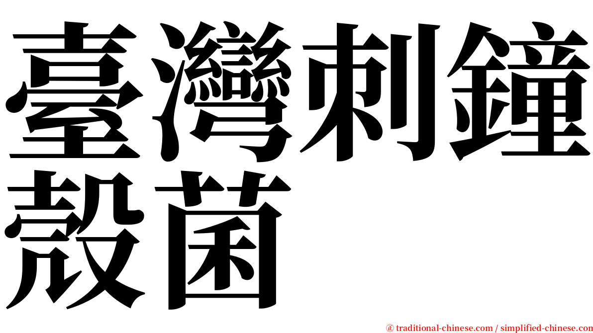 臺灣刺鐘殼菌 serif font