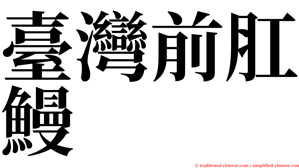 臺灣前肛鰻 serif font