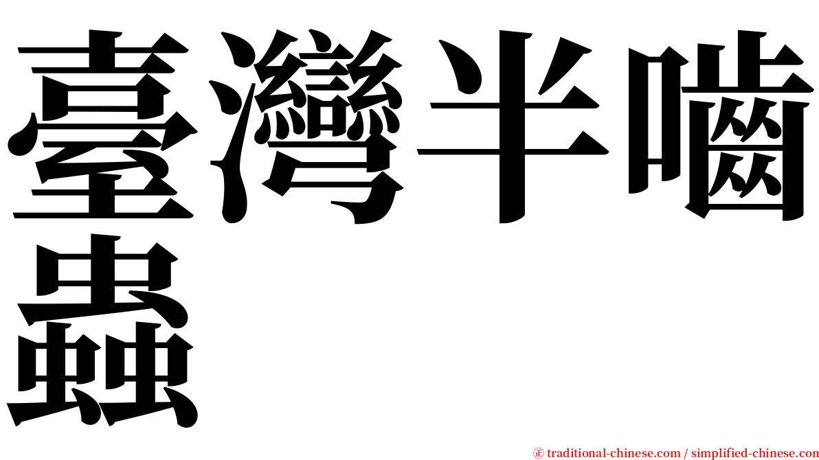 臺灣半嚙蟲 serif font