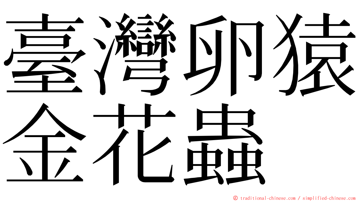 臺灣卵猿金花蟲 ming font