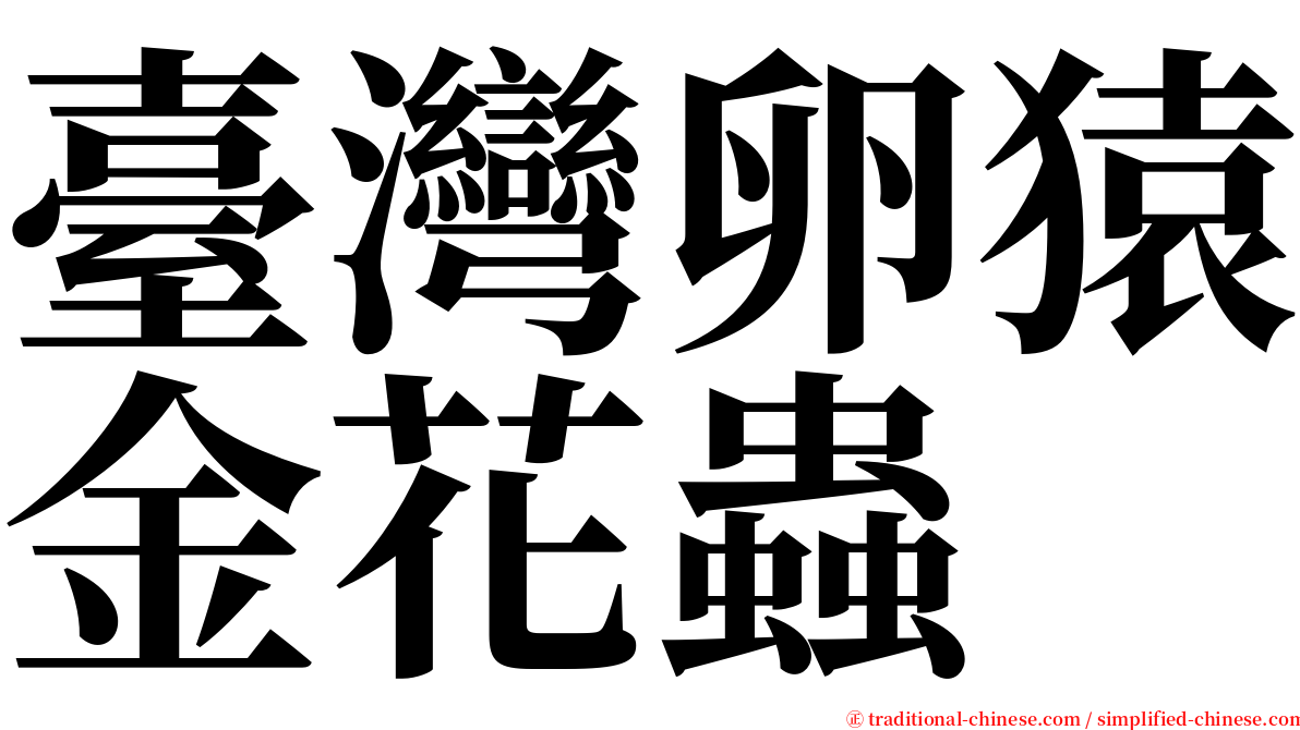 臺灣卵猿金花蟲 serif font