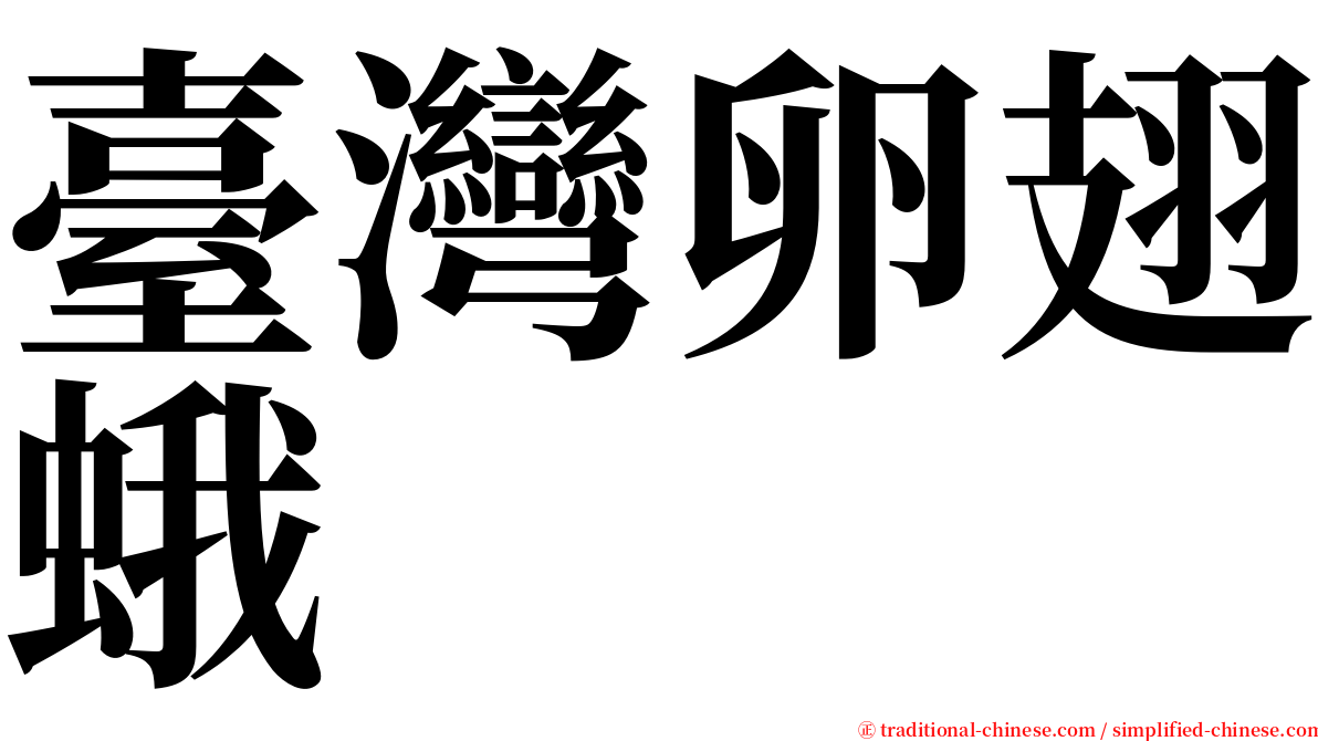 臺灣卵翅蛾 serif font