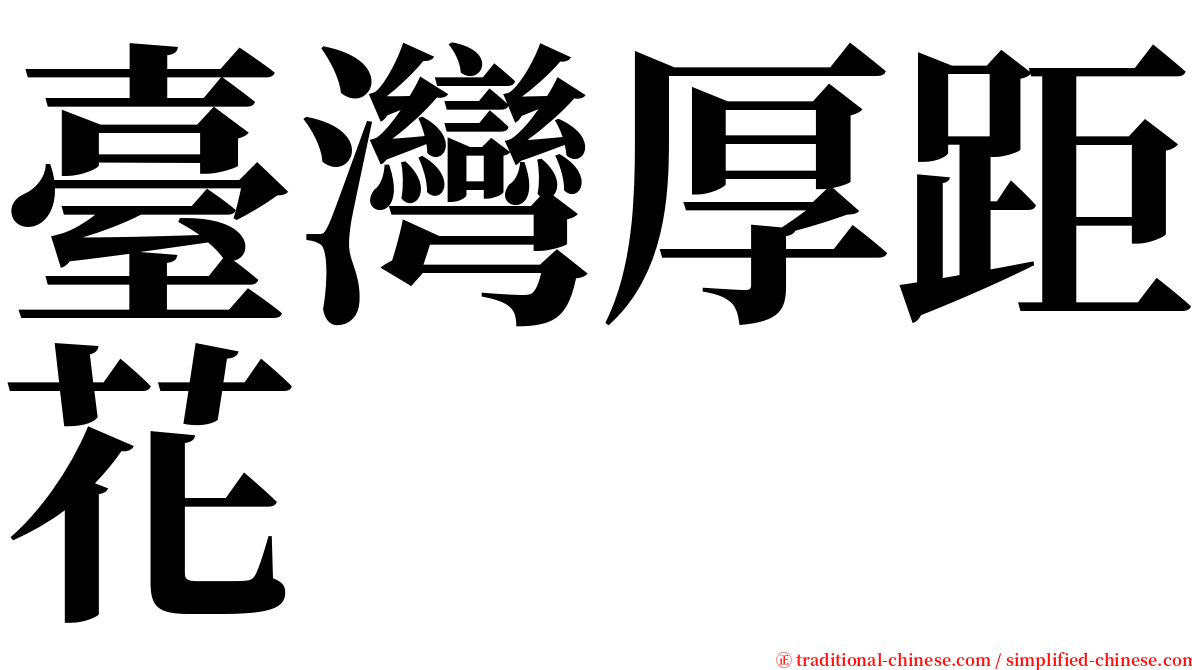 臺灣厚距花 serif font