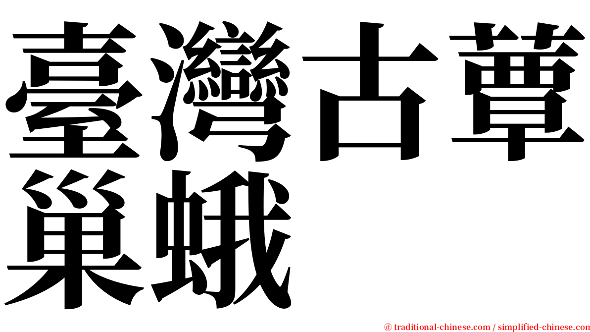 臺灣古蕈巢蛾 serif font