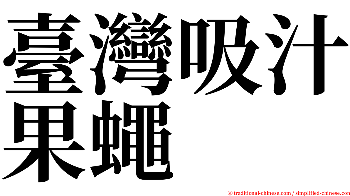 臺灣吸汁果蠅 serif font