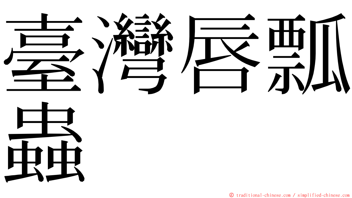 臺灣唇瓢蟲 ming font