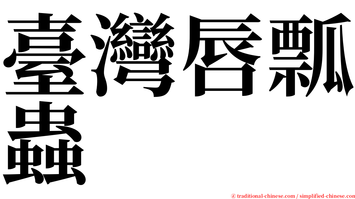 臺灣唇瓢蟲 serif font