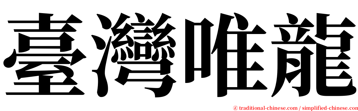 臺灣唯龍 serif font