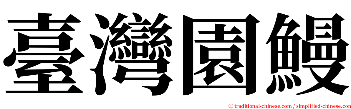 臺灣園鰻 serif font