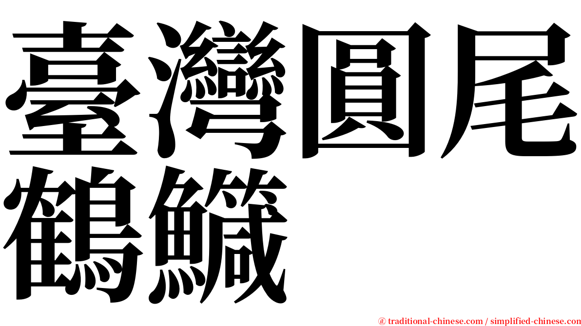 臺灣圓尾鶴鱵 serif font