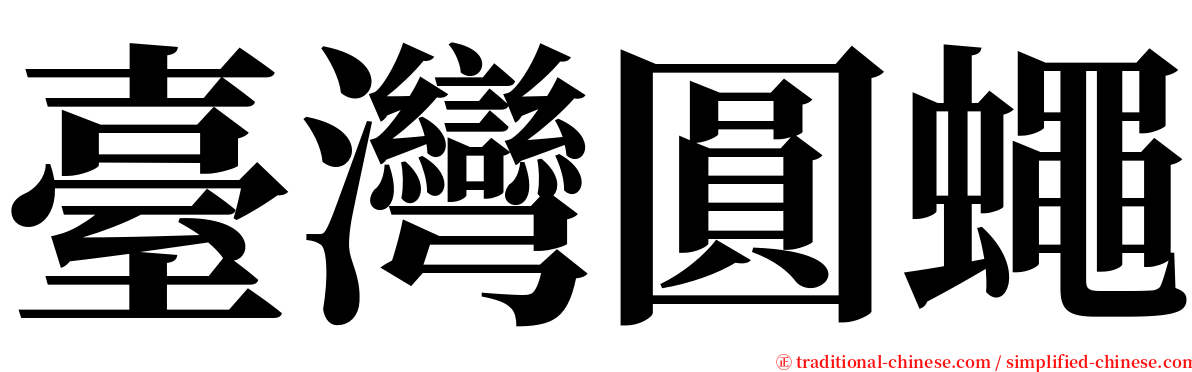 臺灣圓蠅 serif font