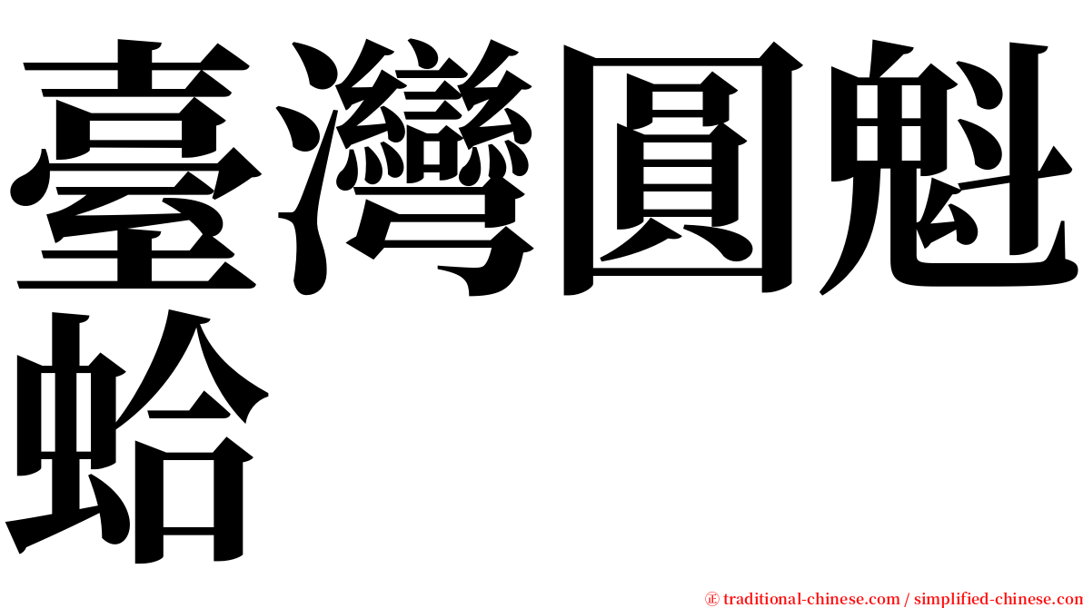 臺灣圓魁蛤 serif font