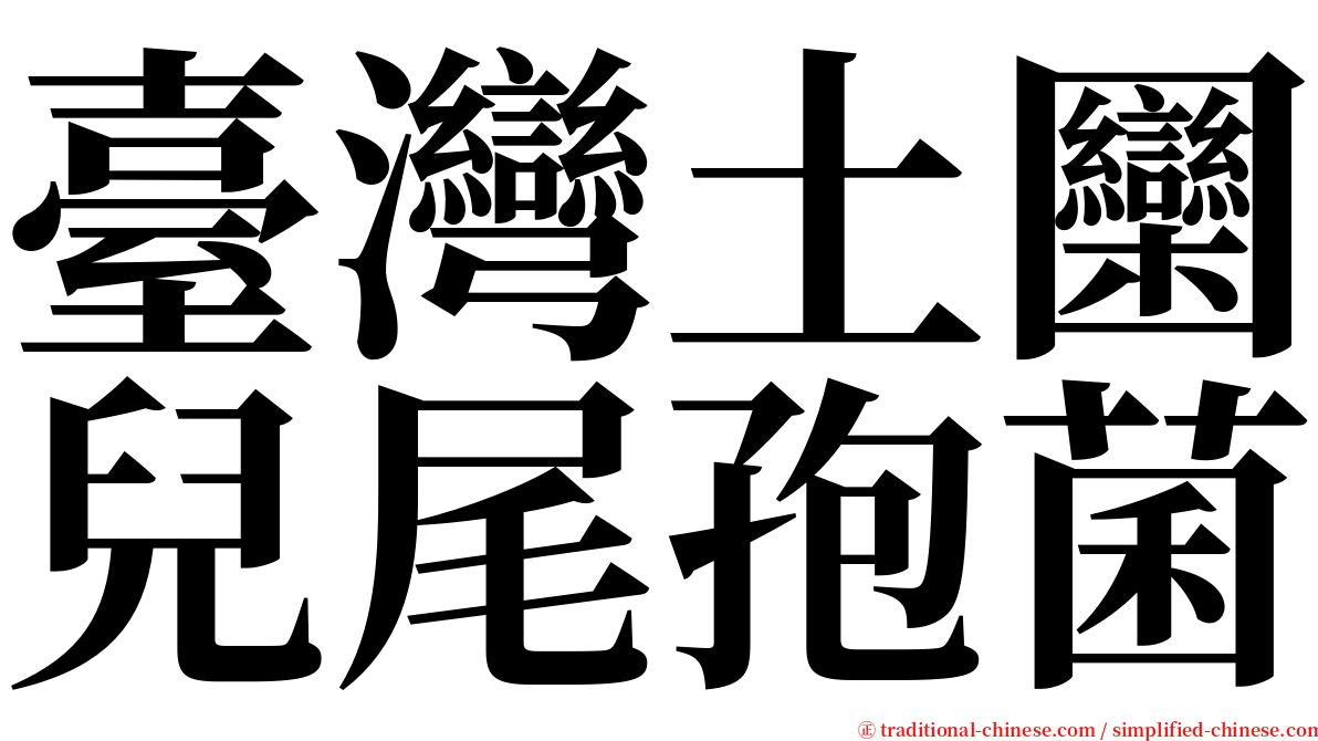 臺灣土圞兒尾孢菌 serif font