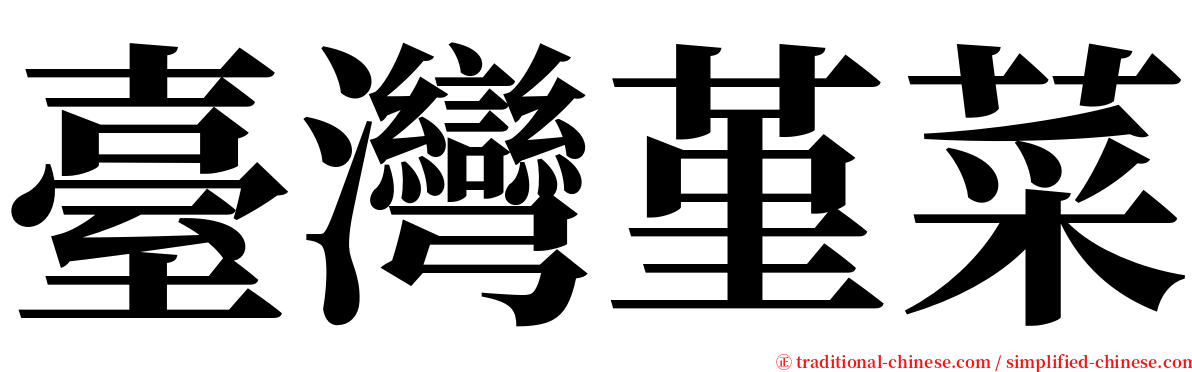 臺灣堇菜 serif font