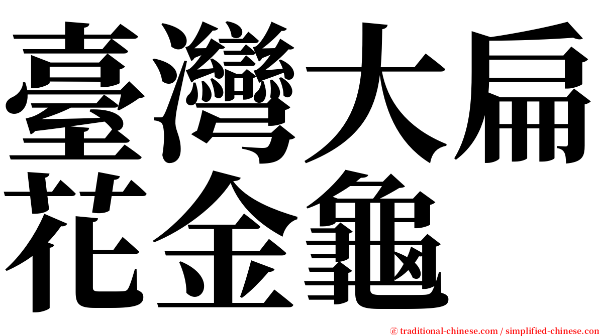 臺灣大扁花金龜 serif font