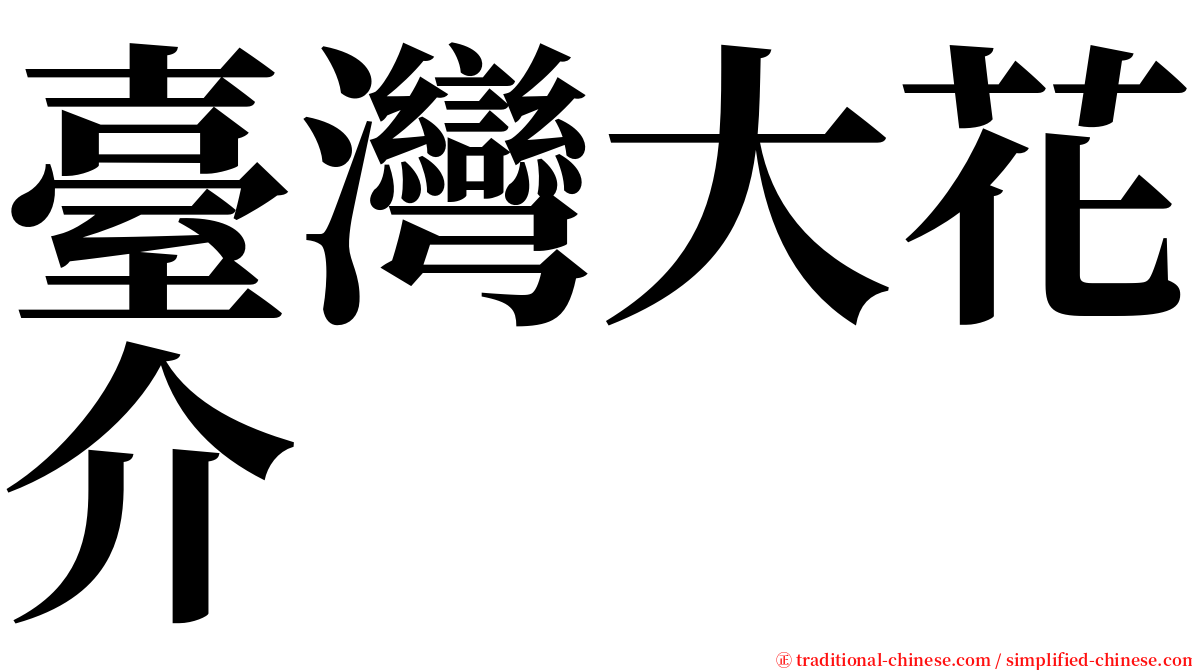 臺灣大花介 serif font