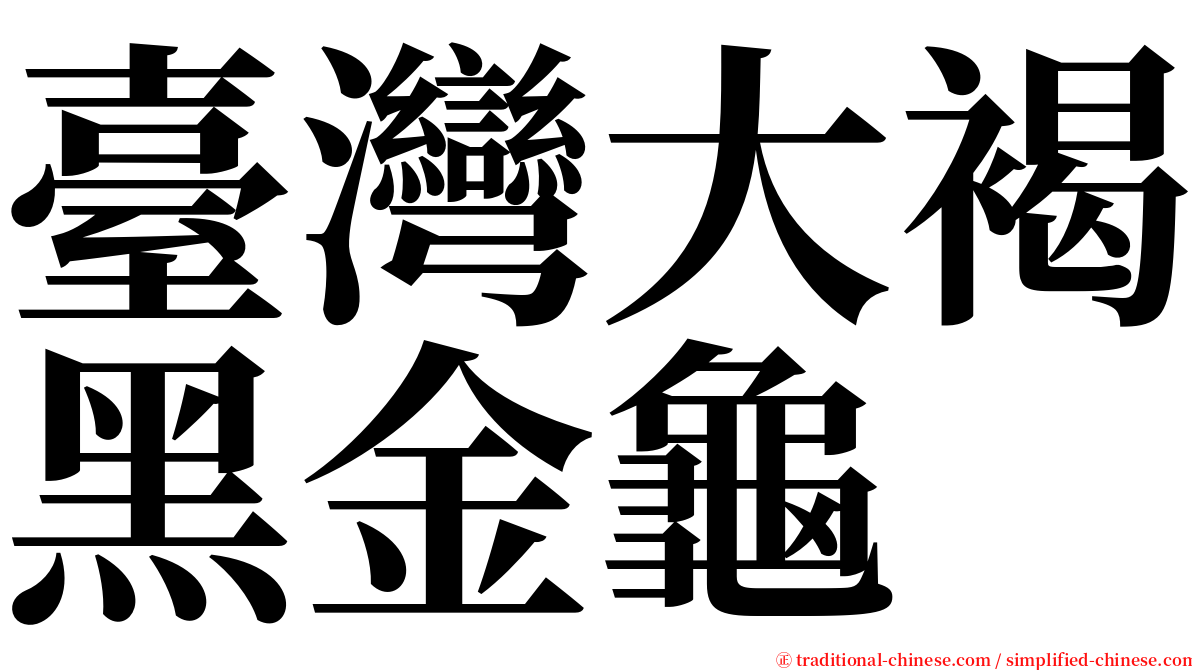 臺灣大褐黑金龜 serif font