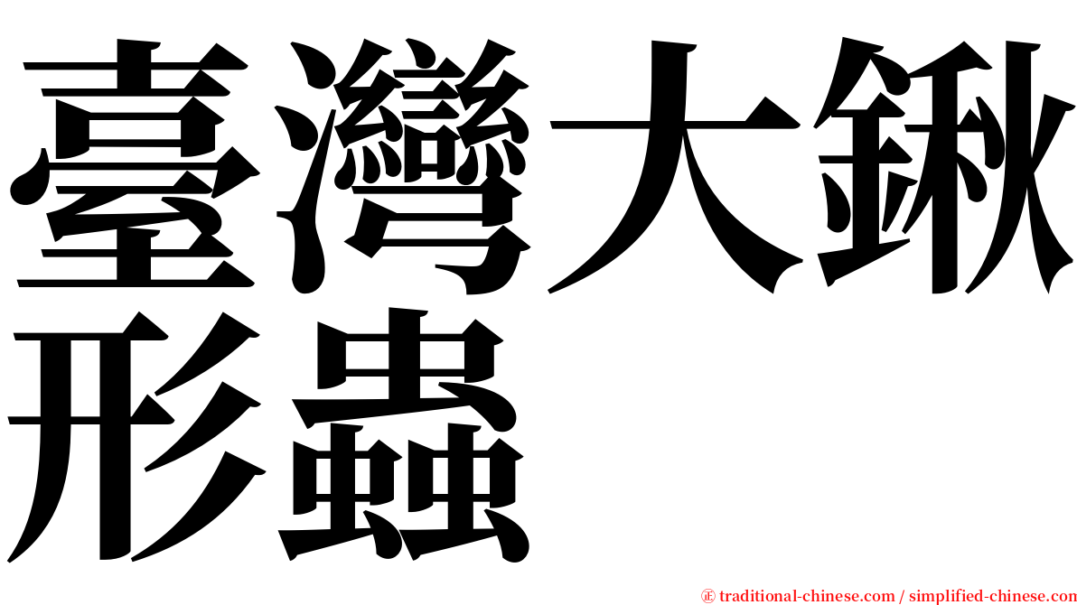 臺灣大鍬形蟲 serif font