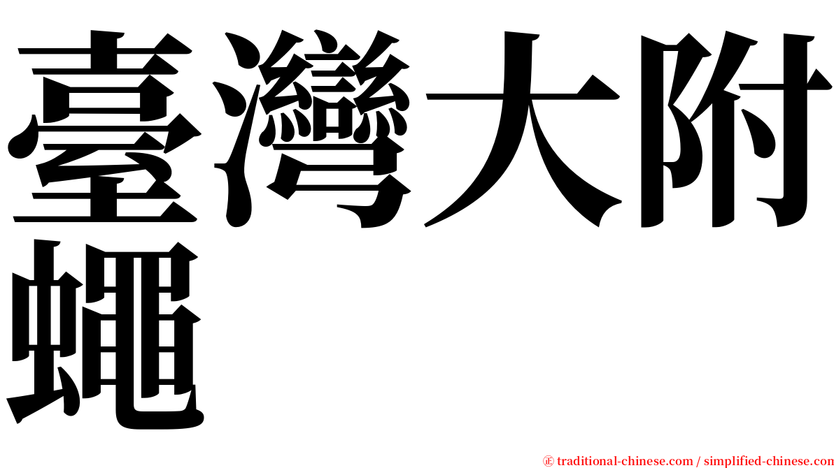 臺灣大附蠅 serif font