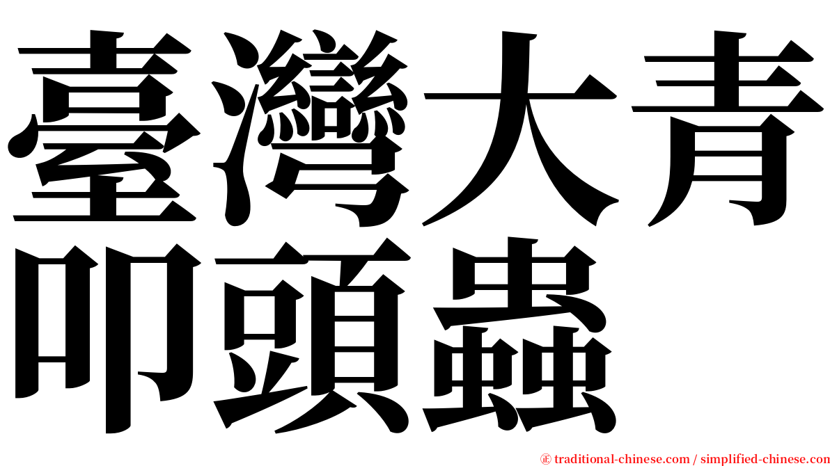 臺灣大青叩頭蟲 serif font