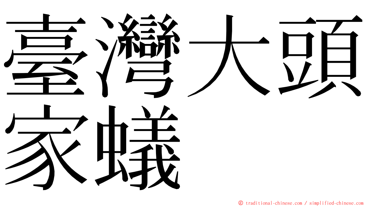 臺灣大頭家蟻 ming font