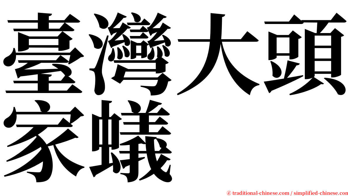 臺灣大頭家蟻 serif font