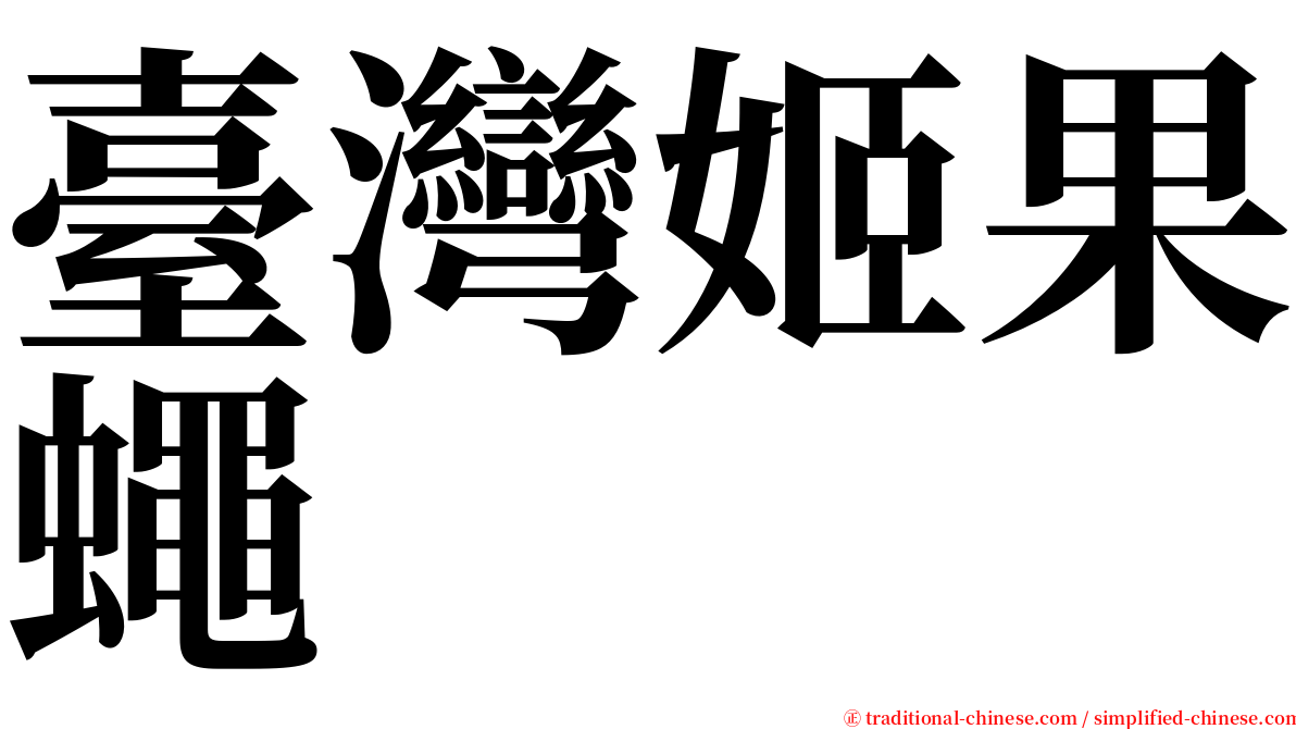 臺灣姬果蠅 serif font