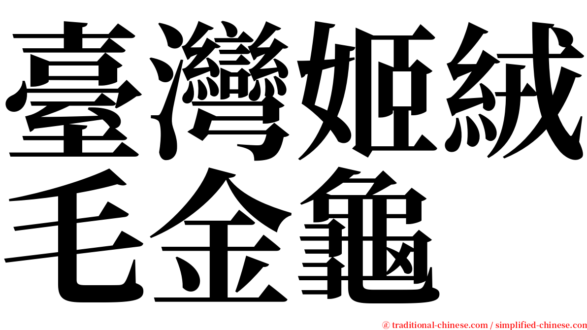 臺灣姬絨毛金龜 serif font