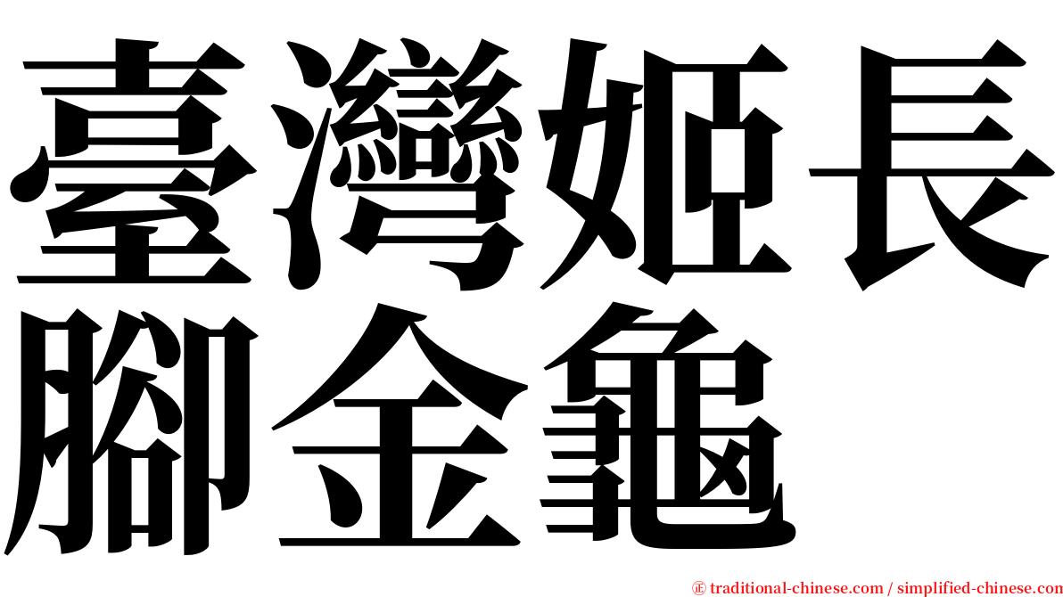 臺灣姬長腳金龜 serif font