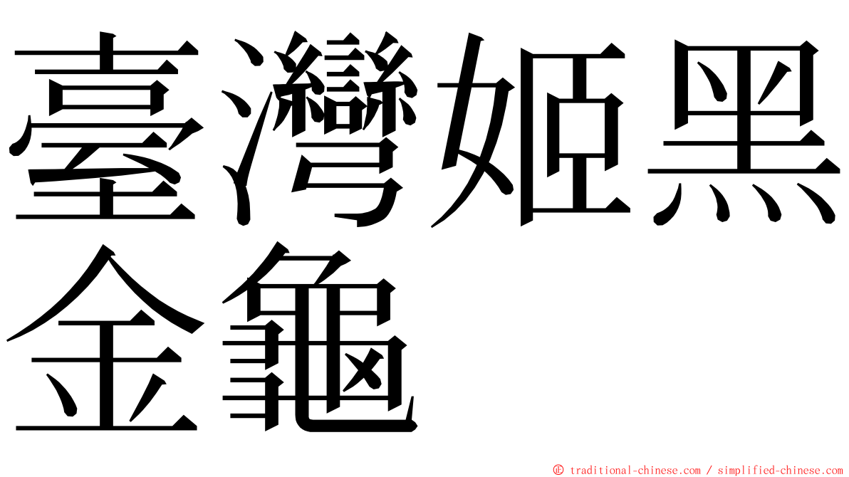 臺灣姬黑金龜 ming font