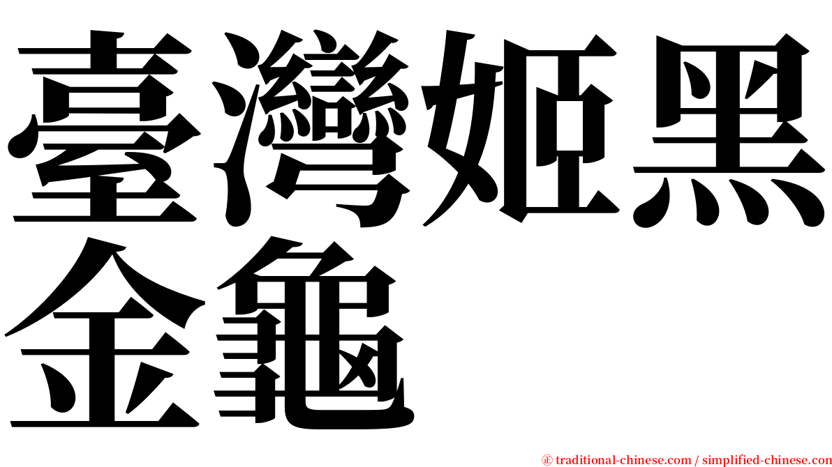 臺灣姬黑金龜 serif font