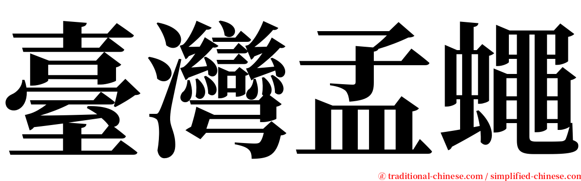 臺灣孟蠅 serif font