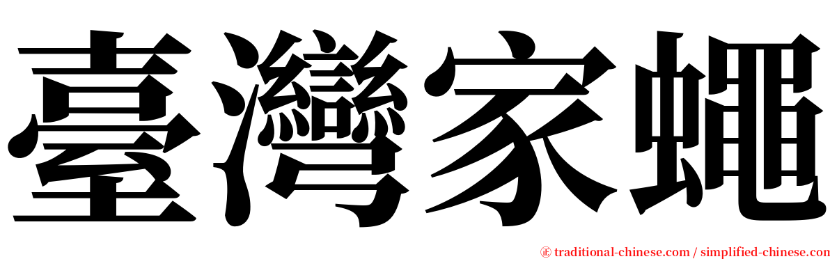 臺灣家蠅 serif font