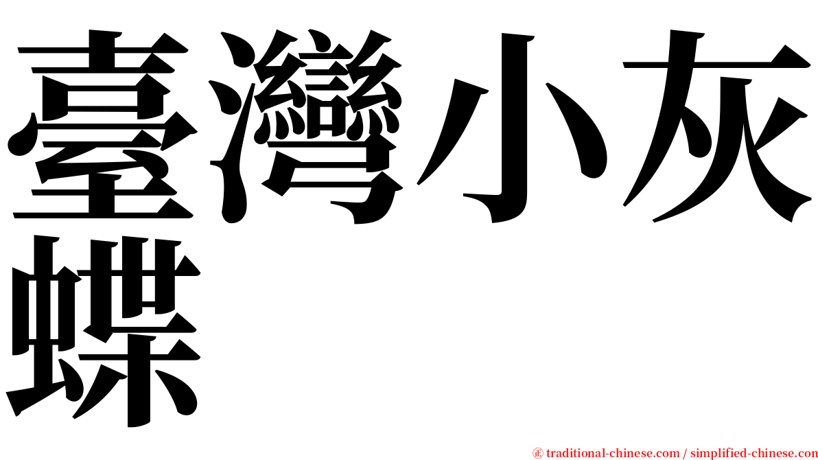 臺灣小灰蝶 serif font