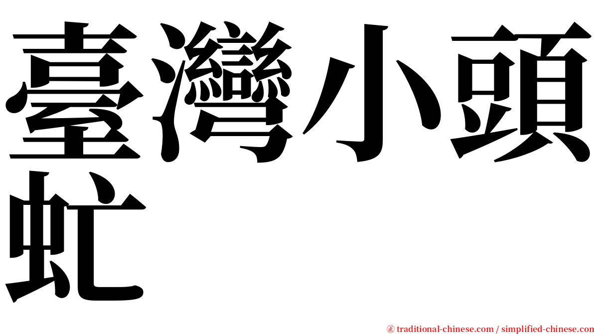 臺灣小頭虻 serif font