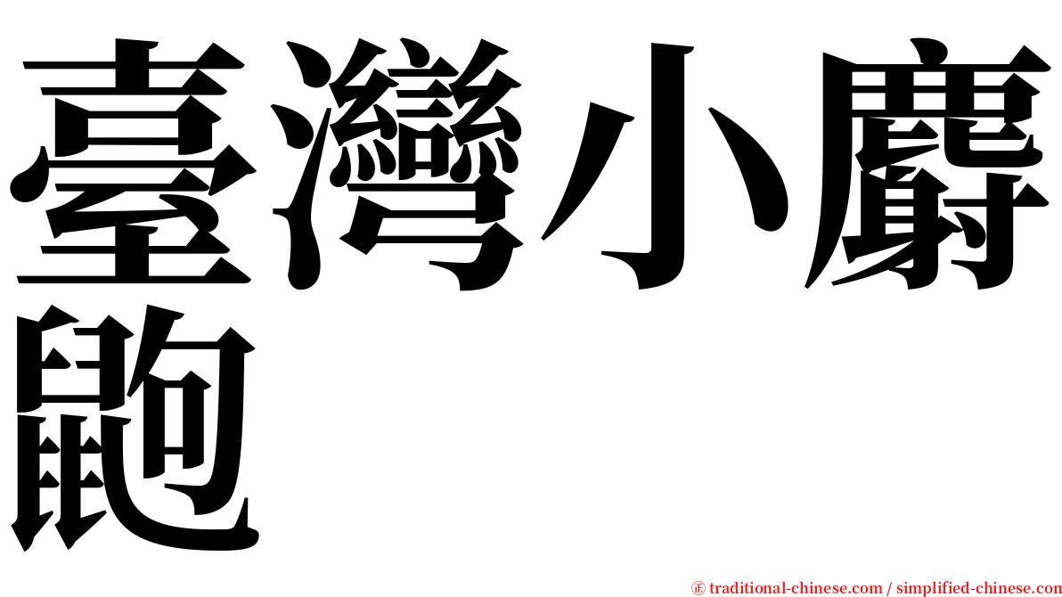 臺灣小麝鼩 serif font