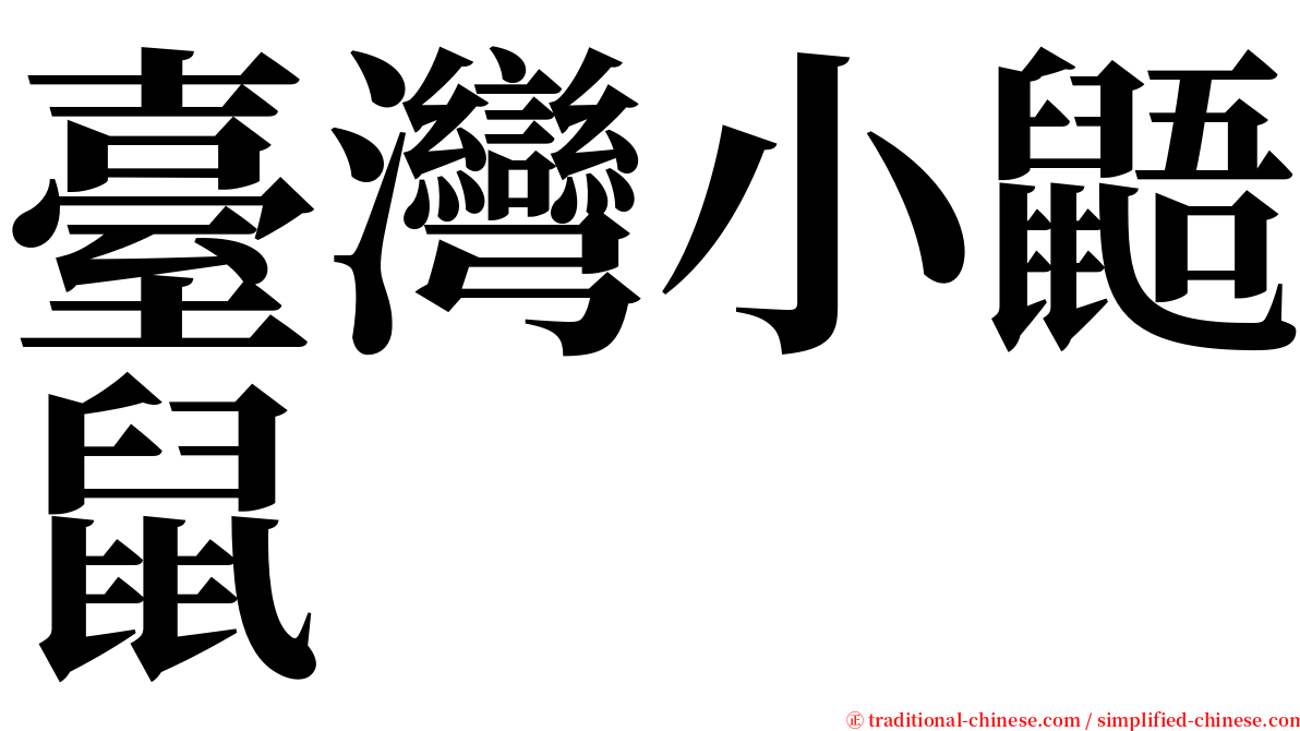 臺灣小鼯鼠 serif font