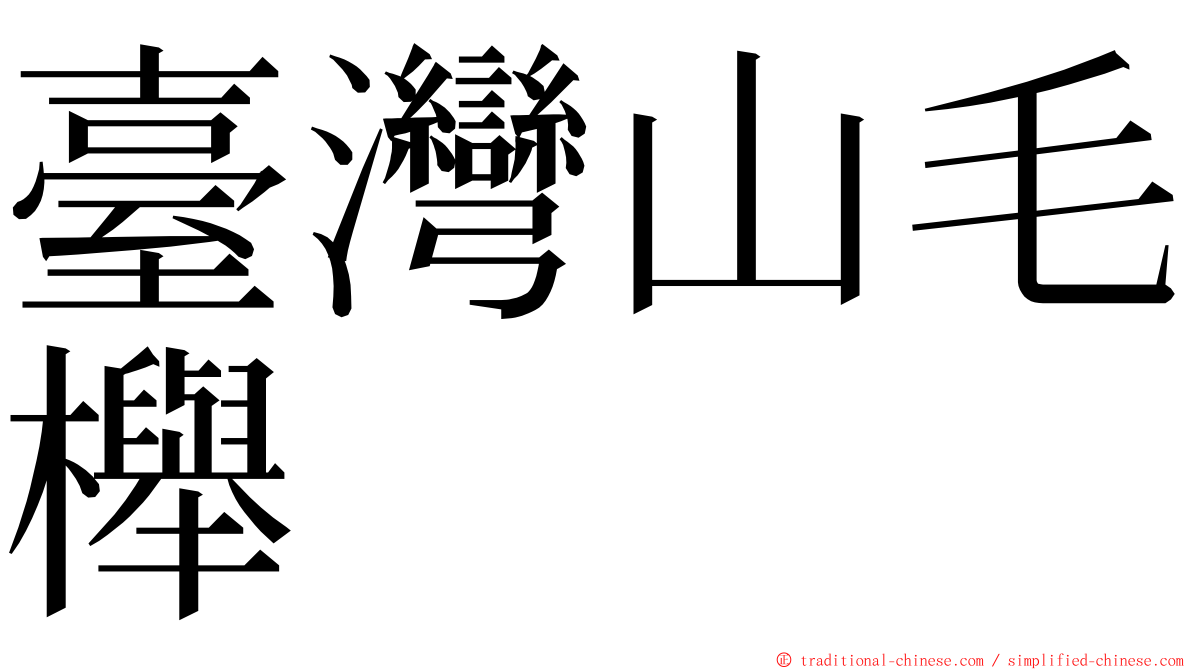 臺灣山毛櫸 ming font