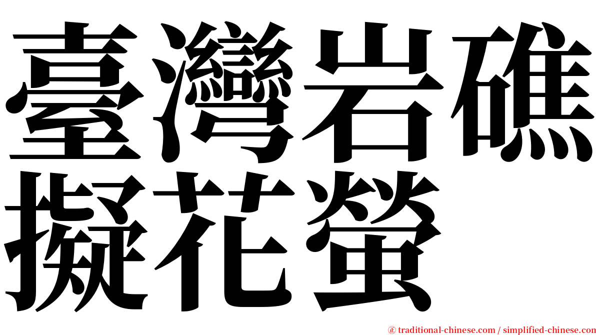 臺灣岩礁擬花螢 serif font