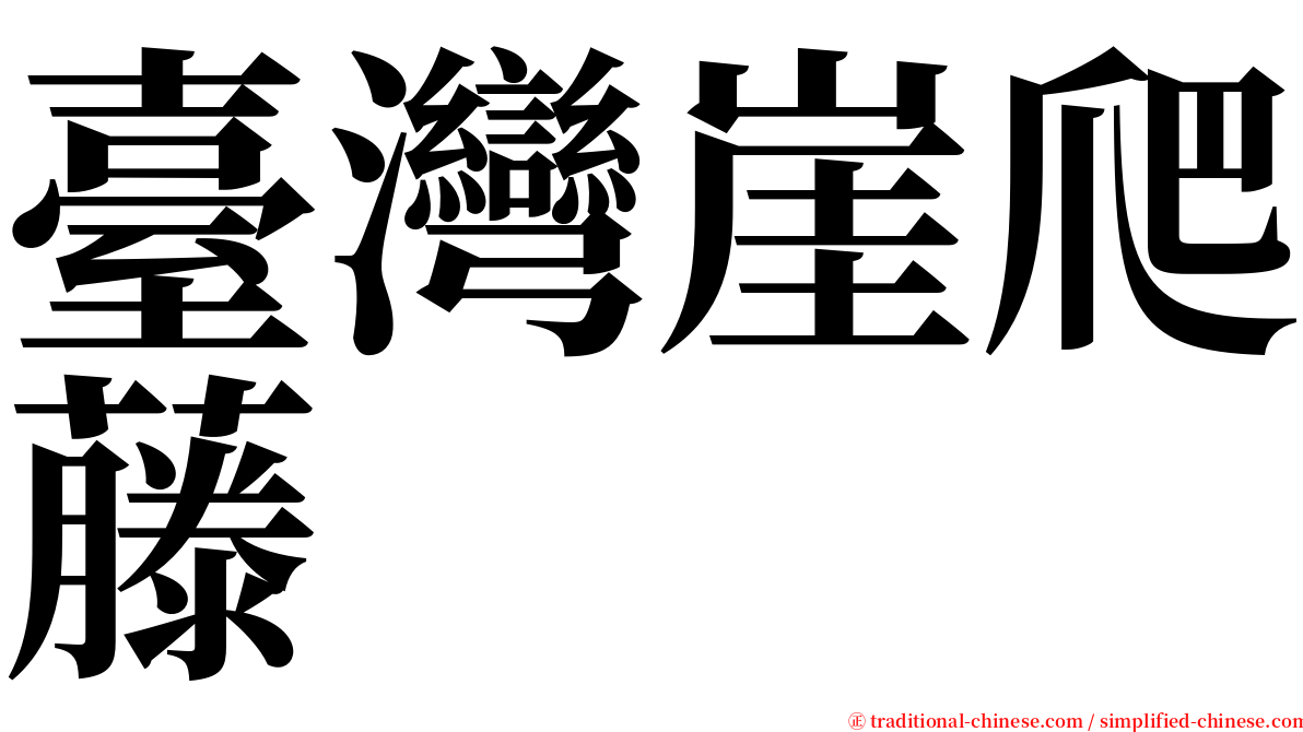 臺灣崖爬藤 serif font