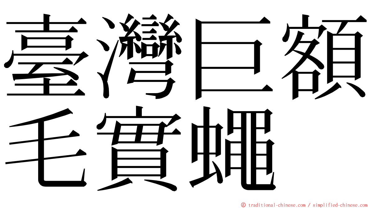 臺灣巨額毛實蠅 ming font