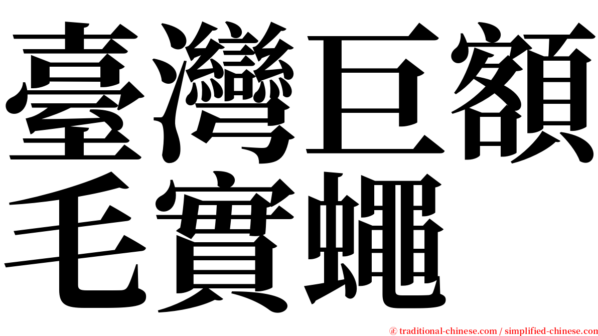 臺灣巨額毛實蠅 serif font