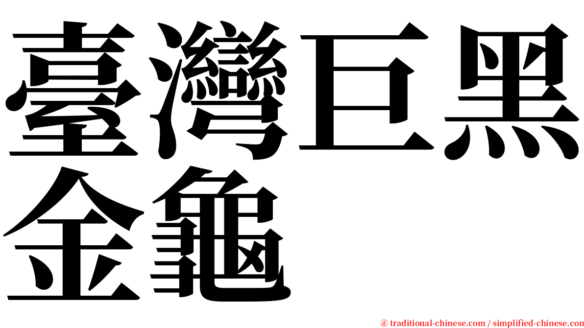 臺灣巨黑金龜 serif font