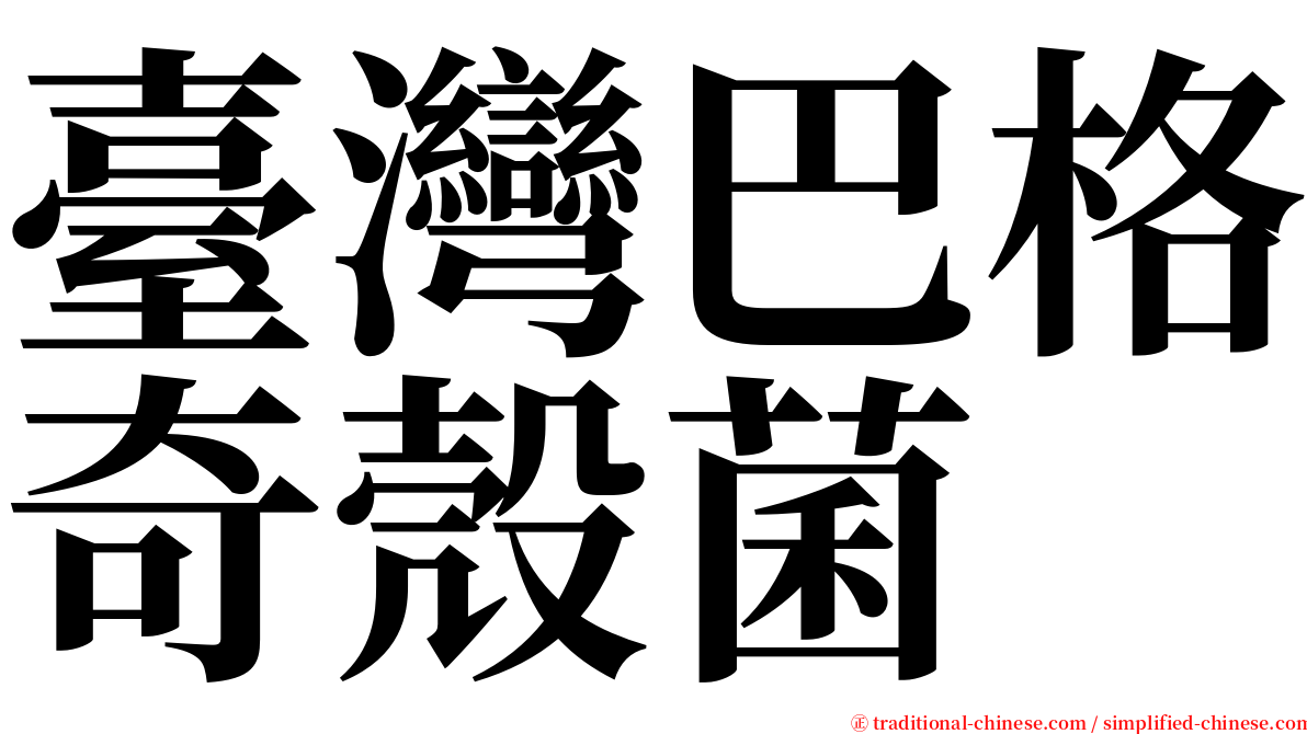 臺灣巴格奇殼菌 serif font