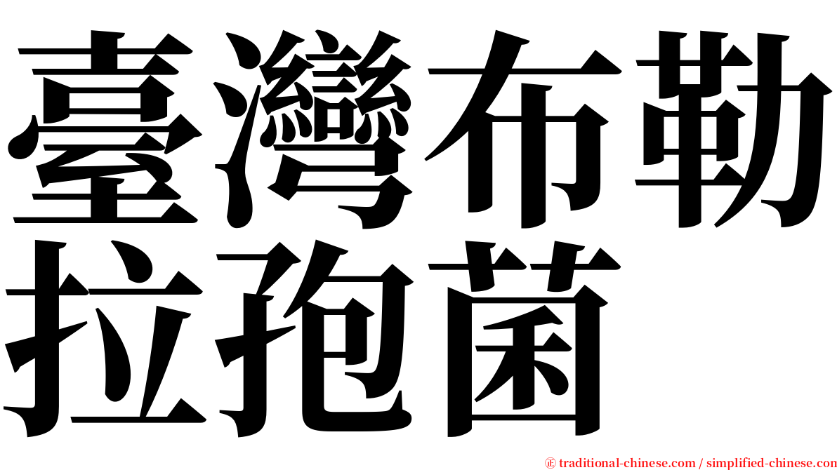 臺灣布勒拉孢菌 serif font