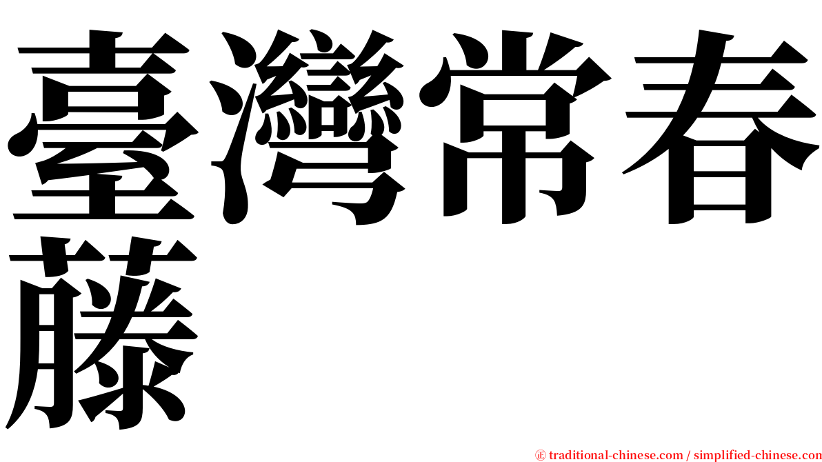 臺灣常春藤 serif font