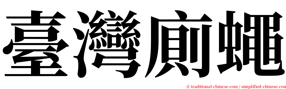 臺灣廁蠅 serif font