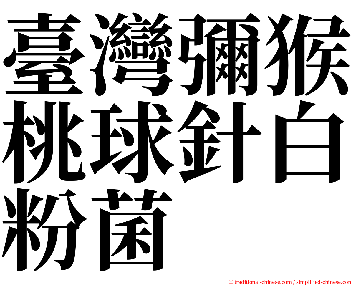 臺灣彌猴桃球針白粉菌 serif font