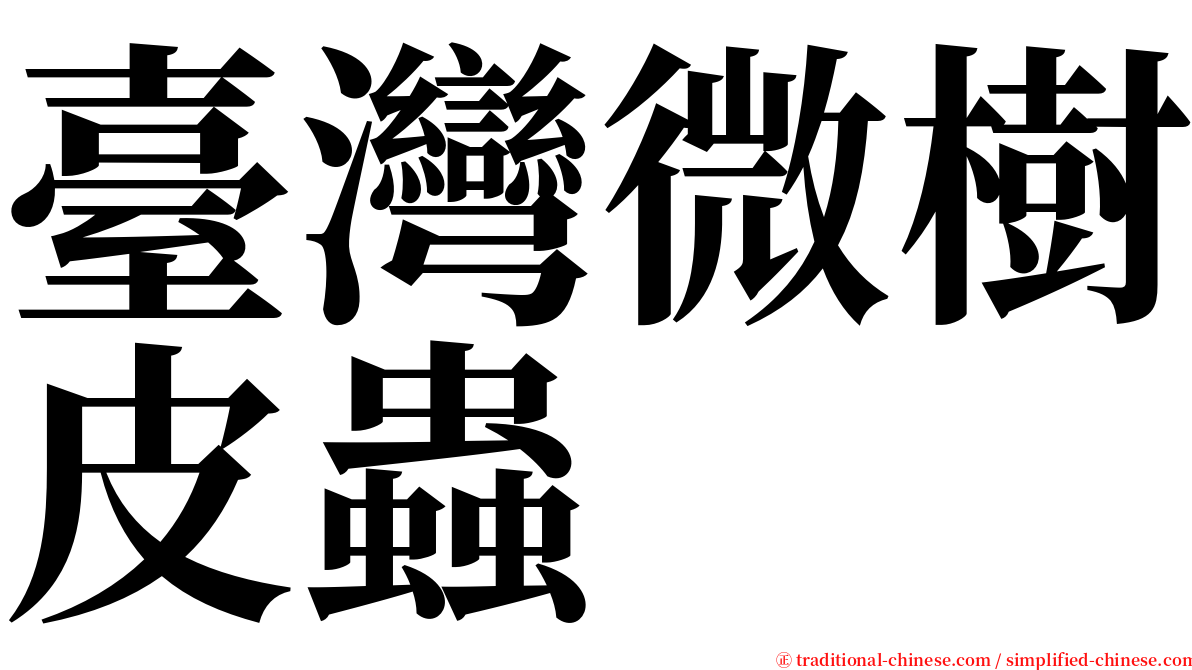 臺灣微樹皮蟲 serif font