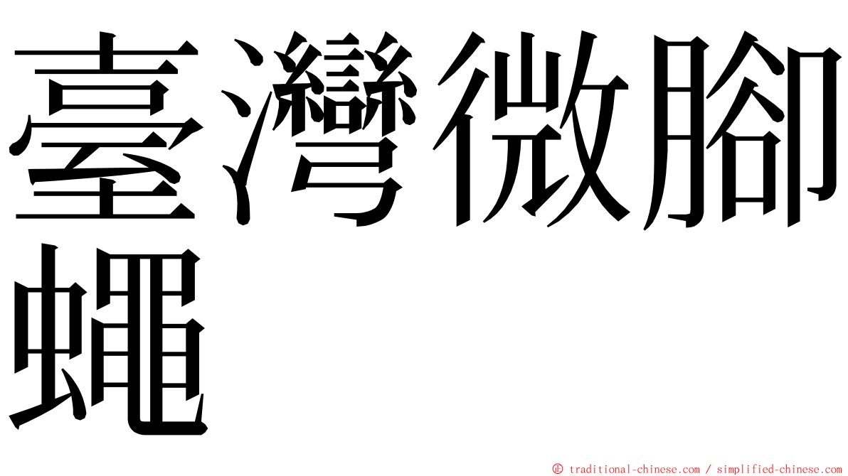 臺灣微腳蠅 ming font